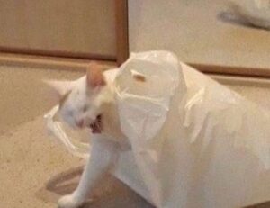 world tech news togtechify