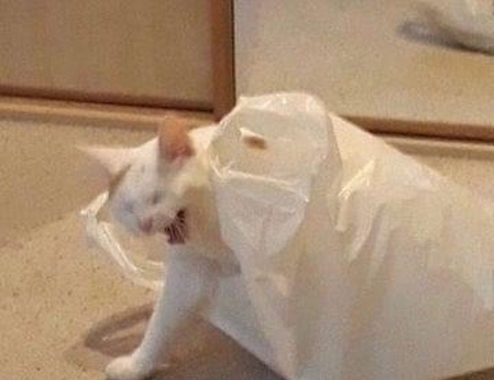 world tech news togtechify