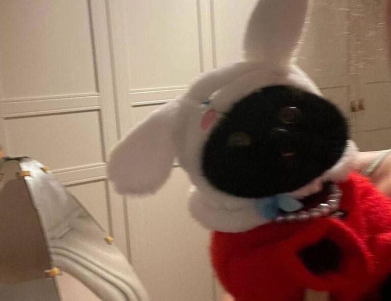 world tech togtechify