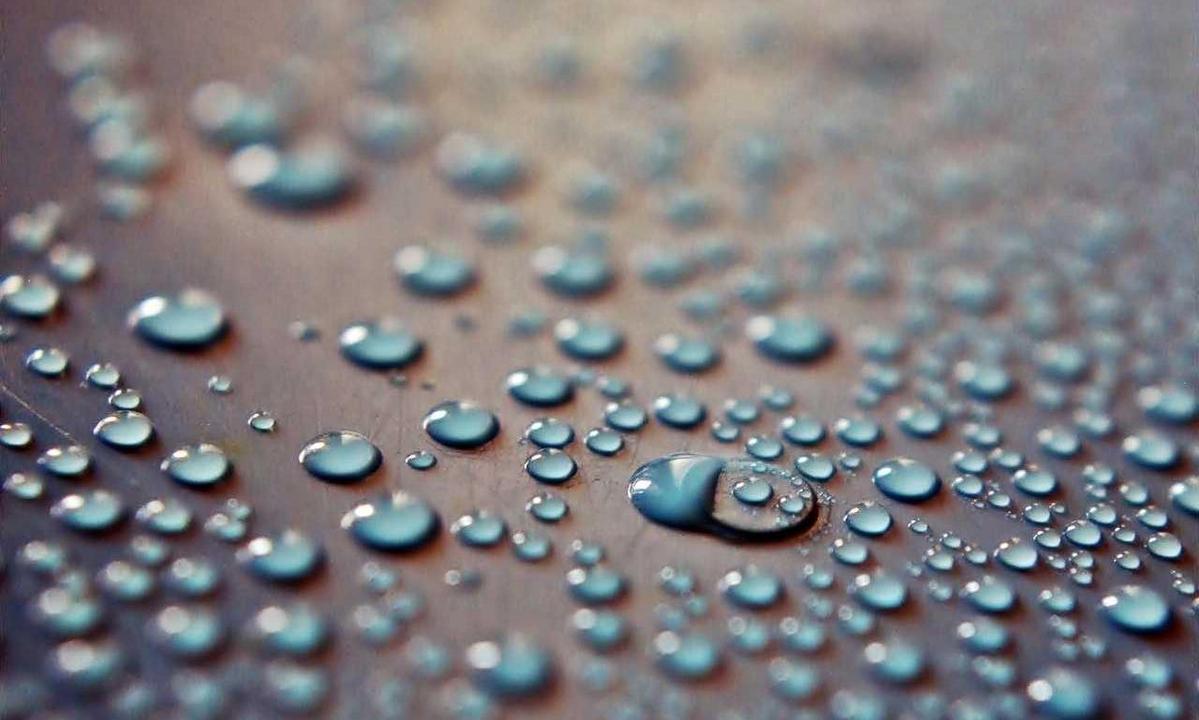 endbugflow software 1