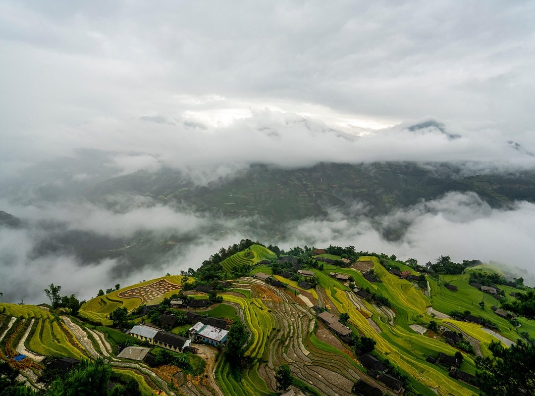 How to Testing Zillexit Software