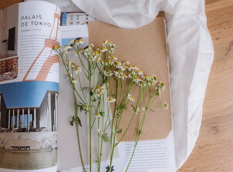 tumblr caratula de comunicacion aesthetic