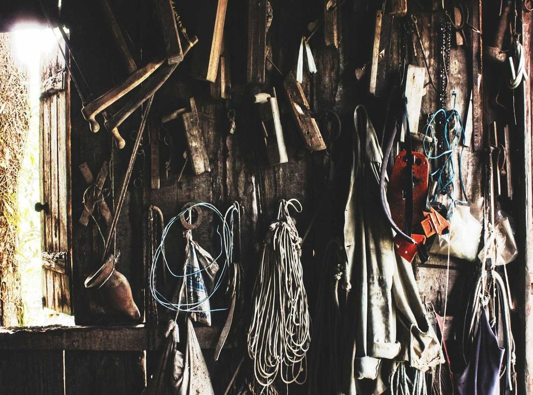 More Than Just Fun: The Benefits of Coloring