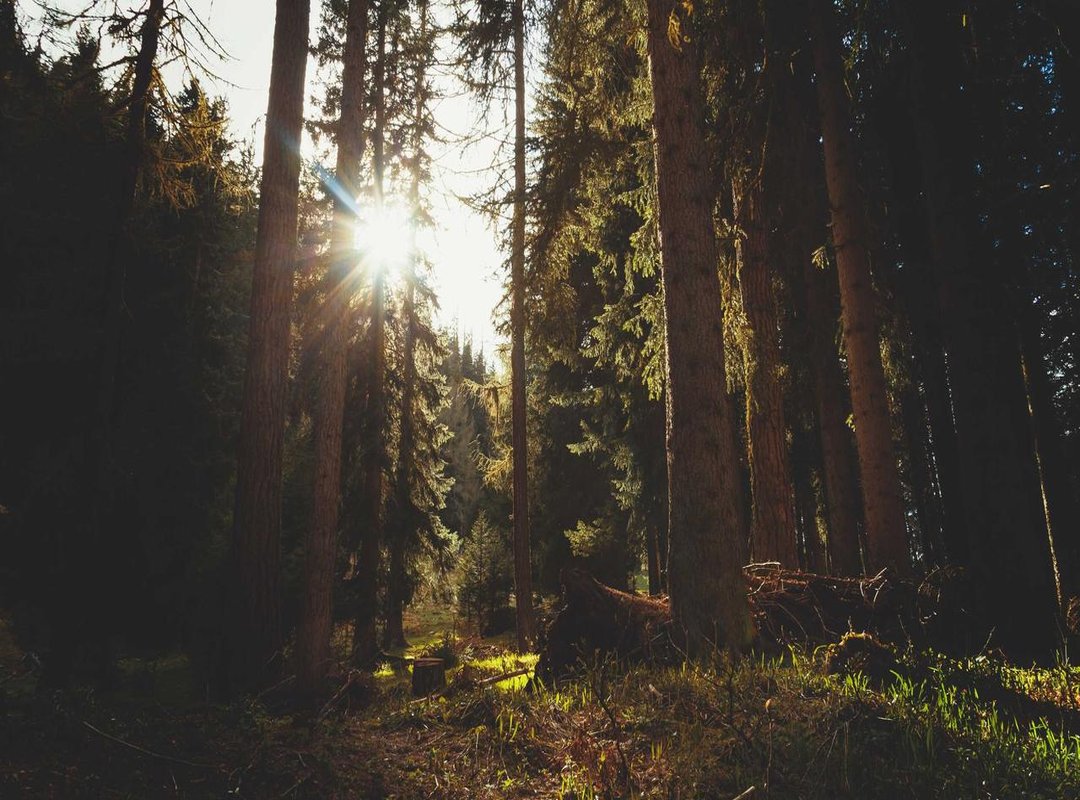 Tactical Breakdown: How Formations Dictate the Flow of the Game