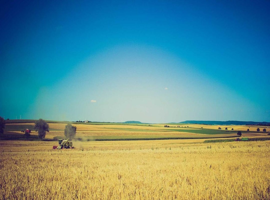 First Impressions: Meeting the Main Characters