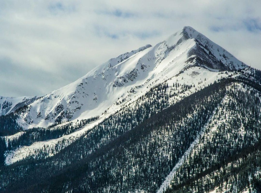 FAQs: Common Questions About Romantic Nighttime Gifs