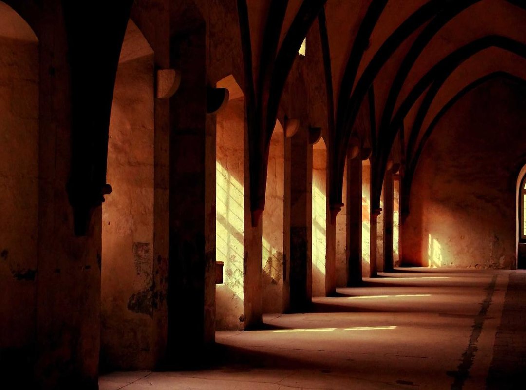 How to Cook with Mustard Greens: From Asian Stir-Fries to Southern Braises