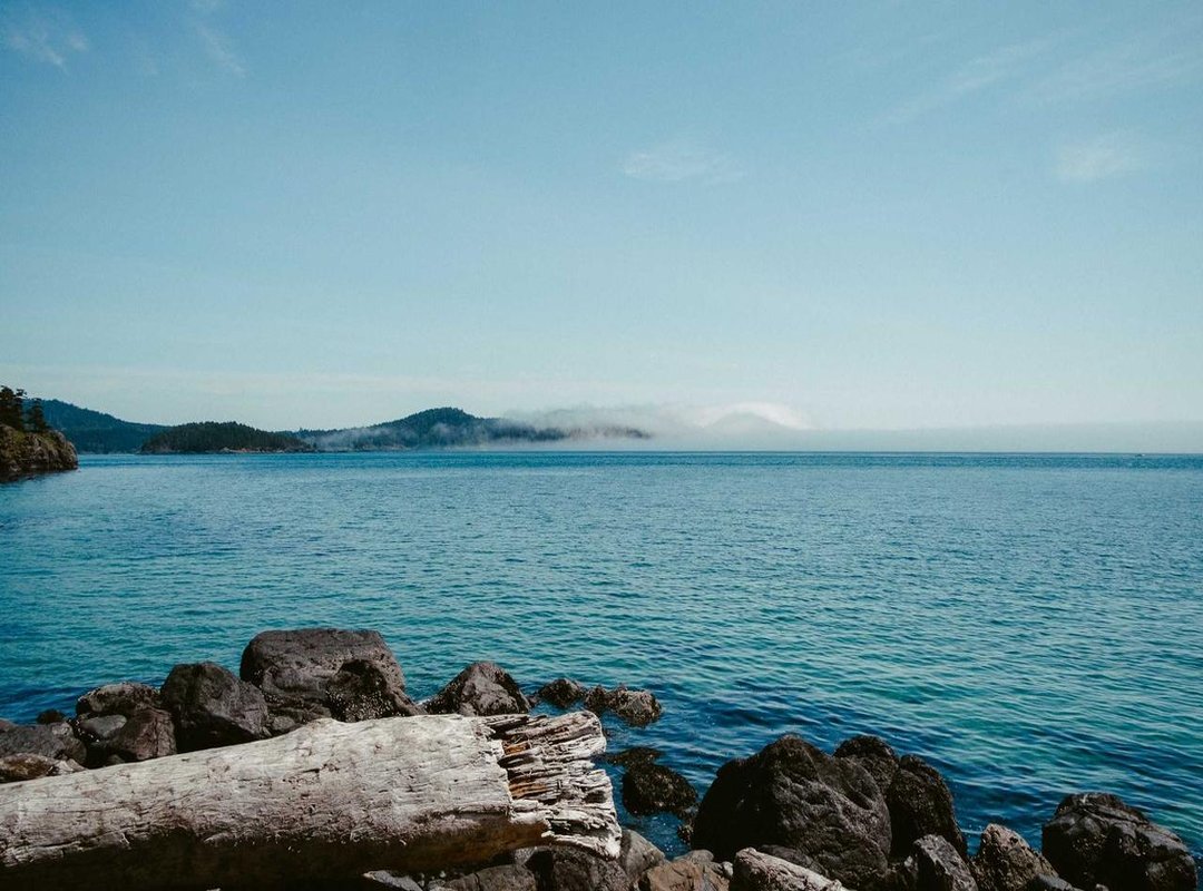 Keeping Green Pests Out: Prevention Tips for Your Home and Yard