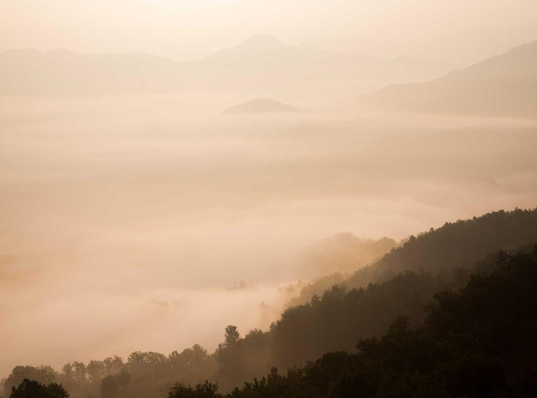 Common Misidentifications: What to Look Out For