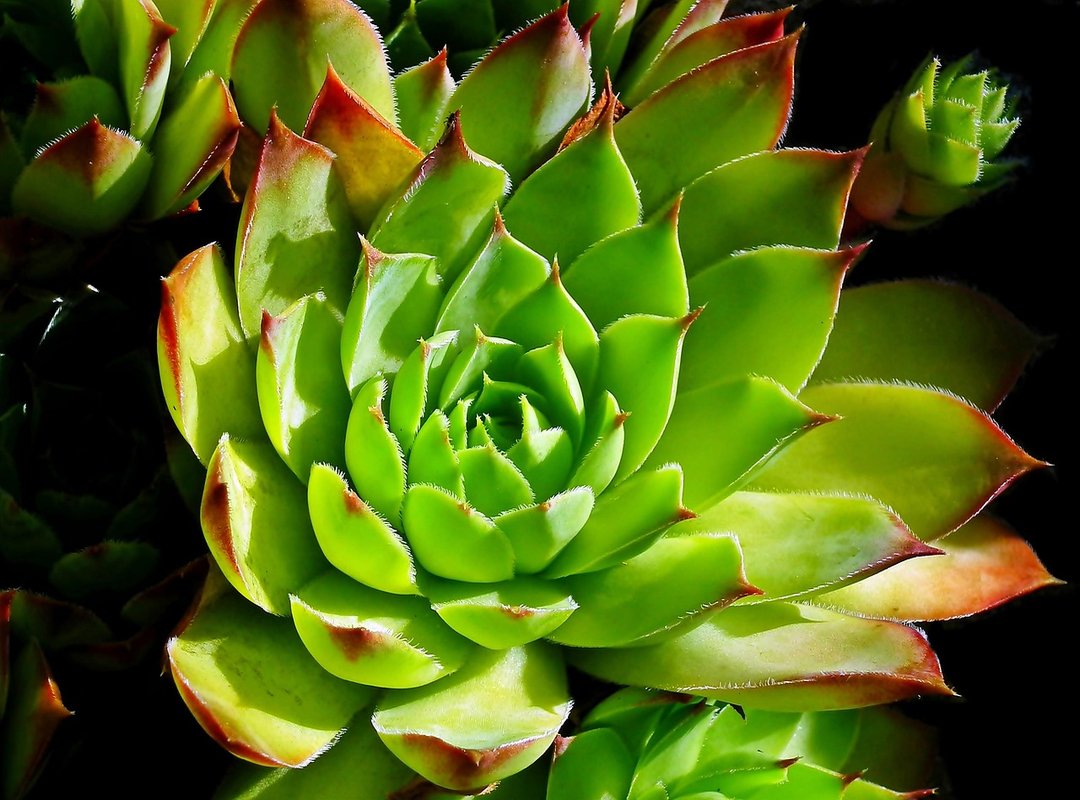 Heartfelt Examples for Different Situations