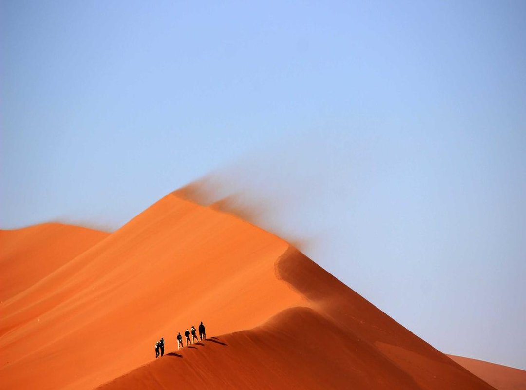 Kruidvat vs. Name Brands: A Head-to-Head Comparison