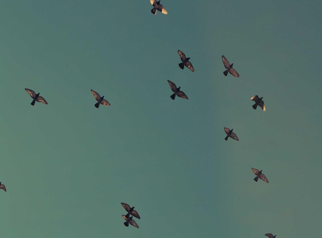 'Ayang' vs. 'Sayang' vs. 'Pacar': Understanding the Difference