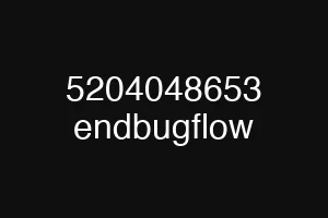 5204048653 endbugflow