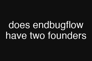 does endbugflow have two founders