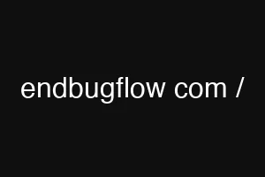 endbugflow com /