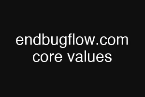 endbugflow.com core values