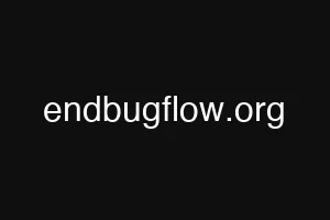 endbugflow.org