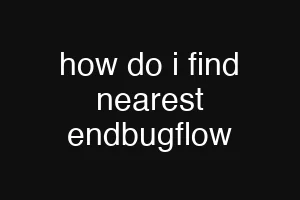 how do i find nearest endbugflow