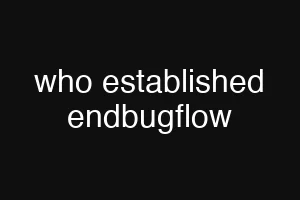 who established endbugflow